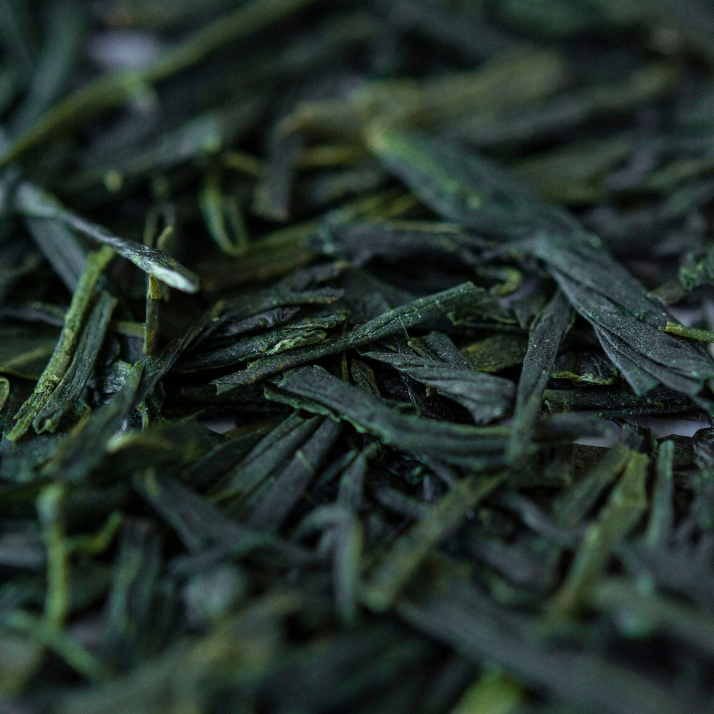 sencha japonés