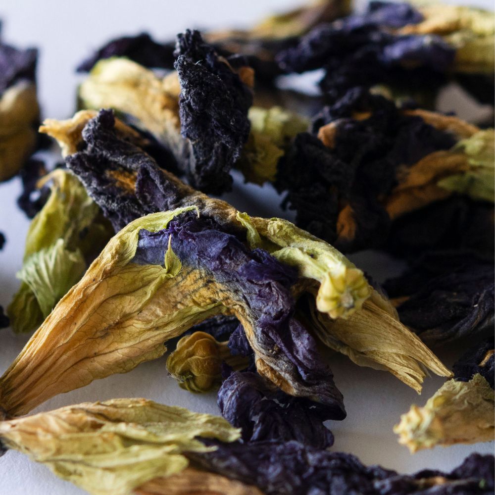 Blue butterfly Pea - flor de guisante de mariposa